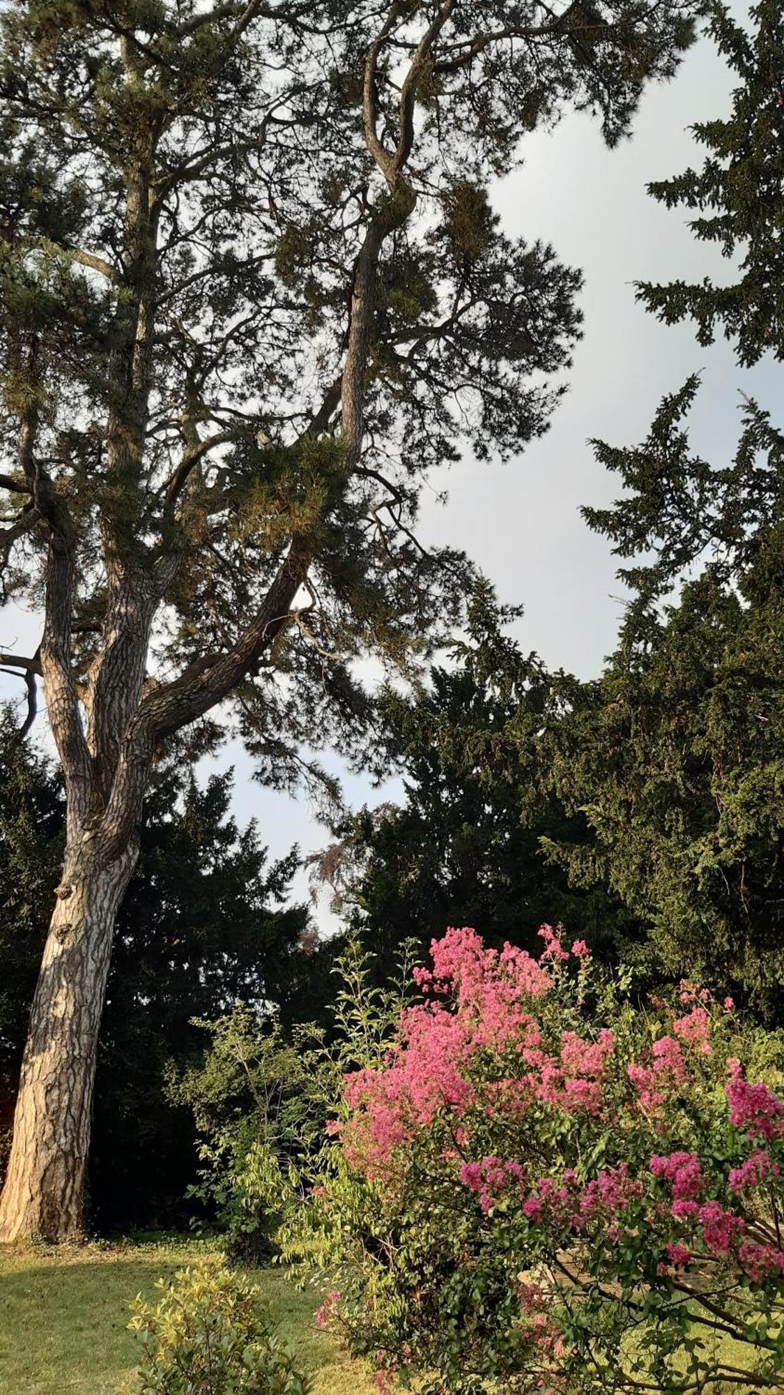 La Heraudiere Bed & Breakfast Tours Zewnętrze zdjęcie