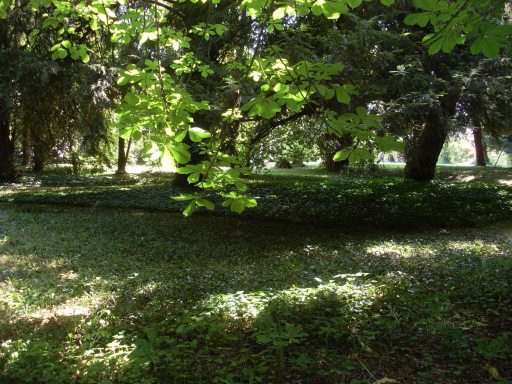La Heraudiere Bed & Breakfast Tours Zewnętrze zdjęcie